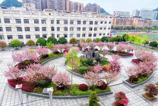 2024年铜仁初三毕业能读的中职中专学校