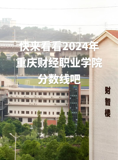 重庆财经职业学院2024年在贵州录取分数线、对应位次