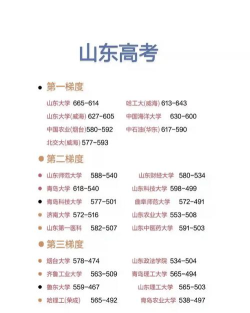 山东高考376分左右能上什么大学