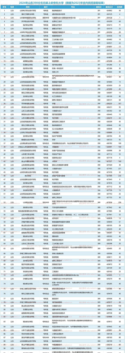 山东高考390分左右能上什么大学