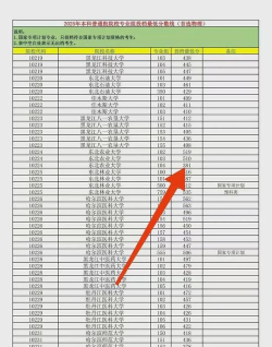 广西高考381分左右能上什么大学