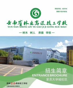 云南林业高级技工学校2024年招生简章