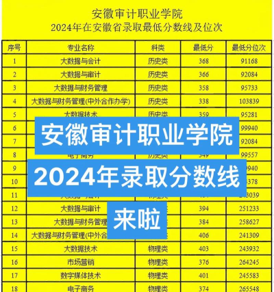 安徽审计职业学院2024年在贵州各专业录取分数线