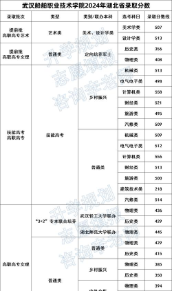 2024年武汉船舶职业技术学院在福建录取分数线