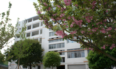 2024年四川省隆昌县城关职业中学开设有哪些专业