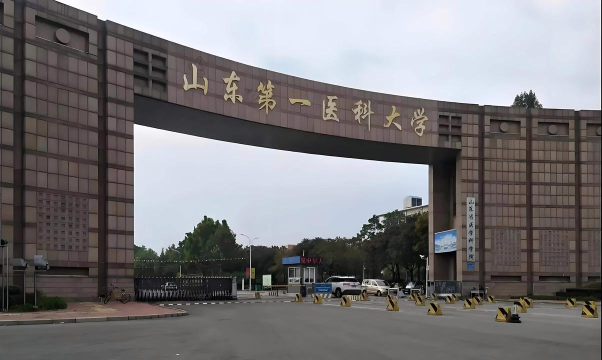 泰山医学院是几本大学 泰山医学院是几本大学