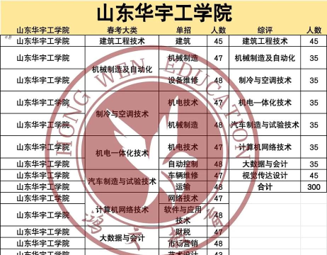 2024年山东华宇工学院招生专业有哪些