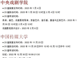 2024新疆艺术学院艺术类校考考试时间什么时候
