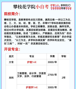 攀枝花学院专升本可以考本校吗