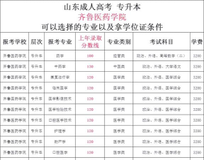 高考多少分能上齐鲁医药学院