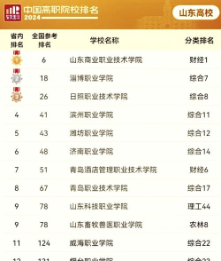 山东2024排名前10的公办专科学校
