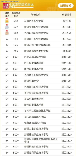 新疆2024排名前10的公办专科学校
