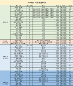 2024年山东外事职业大学艺术类专业有哪些