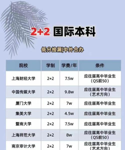 有什么国际本科可以在国内读