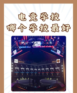 自贡市电竞学校哪所好