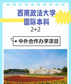 2024西南政法大学2+2国际本科怎么样 2024西南政法大学2+2国际本科怎么样
