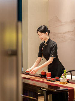 茶艺与茶文化专业怎么样