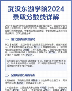 武汉东湖学院2024年在湖南录取分数线、对应位次