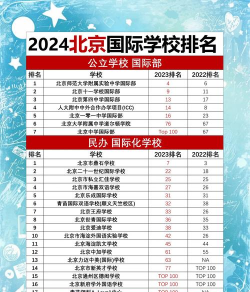 2024北京国际高中是什么