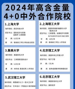 2024中外合作办学开设人力资源管理专业的学校有哪些
