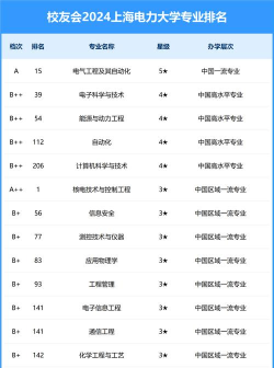 2024上海电力大学3+1中外合作办学专业有哪些