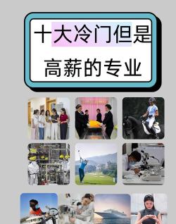 2024十大冷门但是高薪的专业
