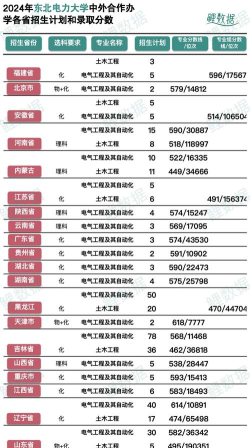 2024东北电力大学中外合作办学学费
