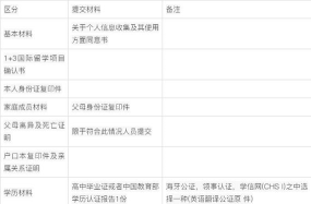 2024年3+1+1留学项目什么意思