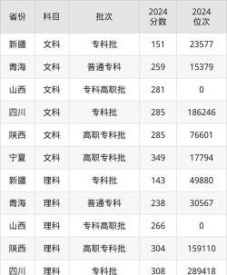 2024年西安高新科技职业学院在山东录取分数线