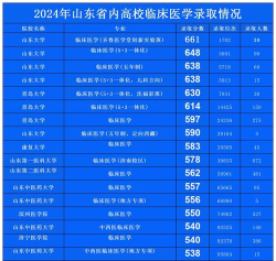 2024齐鲁医药学院各省录取分数线是多少