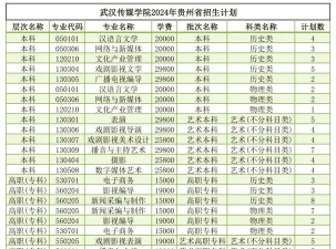 武汉传媒学院2024年在江苏录取分数线、对应位次