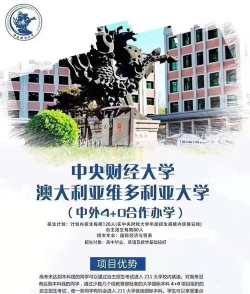 2024中财留学项目有哪些