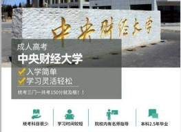 2024中央财经大学3+2国际班是什么