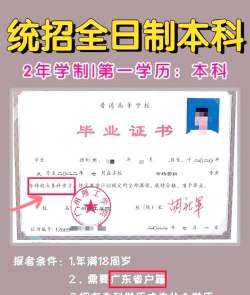 本科上面是什么学历