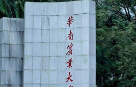 2024华南农业大学出国留学的几率大么