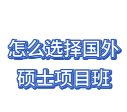 2024北外国际组织项目班是什么意思