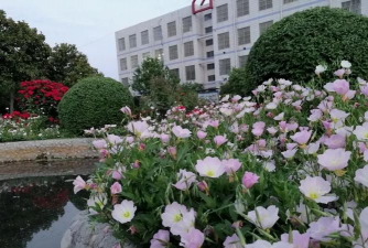 2024年博爱职业中等专业学校开设的专业有哪些