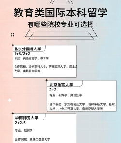 2024国际本科有哪些专业可选