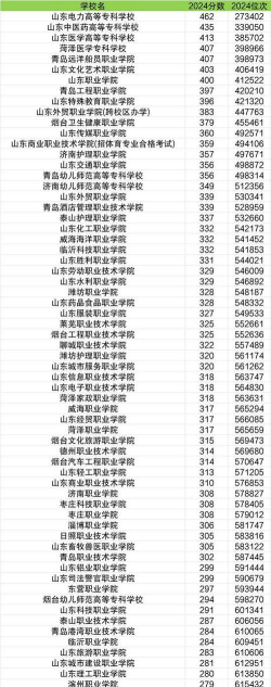 山东2025专科学校排名