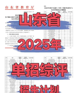 2025山东综评趋势预测！留学韩国新机遇揭秘