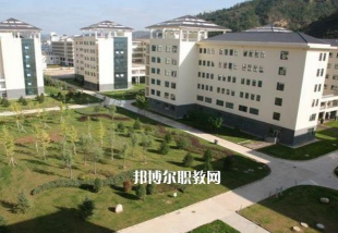 2024年自贡三星职业技术学校开设的专业有哪些