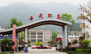 2024年四川省平武县职业高级中学开设的专业有哪些