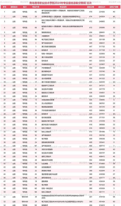 青岛港湾职业技术学院2024各省录取分数线及最低位次是多少