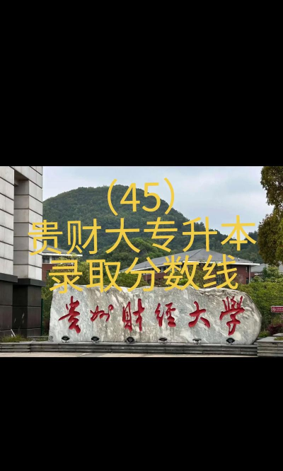 贵州财经大学2024各省录取分数线及最低位次是多少