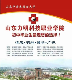 2024年山东力明科技职业学院在山东全部专业录取位次、分数线