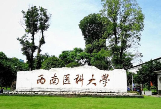 西南医科大学是什么水平