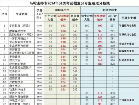 2024马鞍山师范高等专科学校在重庆录取分数线
