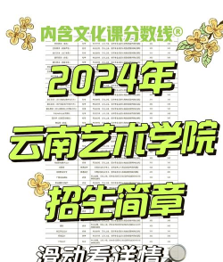 云南工艺美术学校2024年学费多少