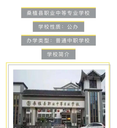 桑植县职业中等专业学校2024年学费多少钱一年