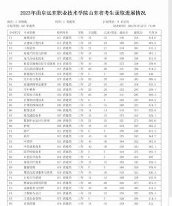 2024山东艺术设计职业学院在浙江录取分数线